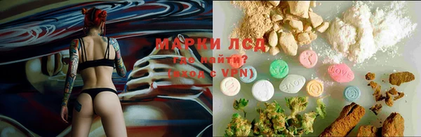 индика Алзамай